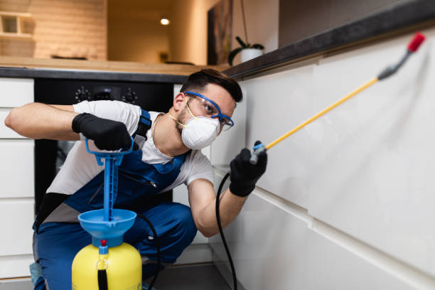Best Pest Removal Services  in Montclair, CA