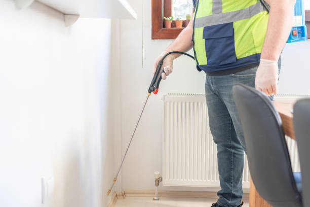 Professional Pest Control in Montclair, CA